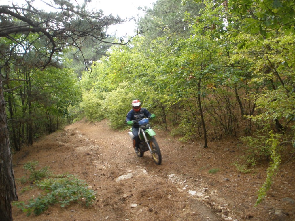 Натиснете снимката за да я уголемите

Име:PA020006.jpg
Прегледи:1
Размер:225.0 КБ
ID:5213920