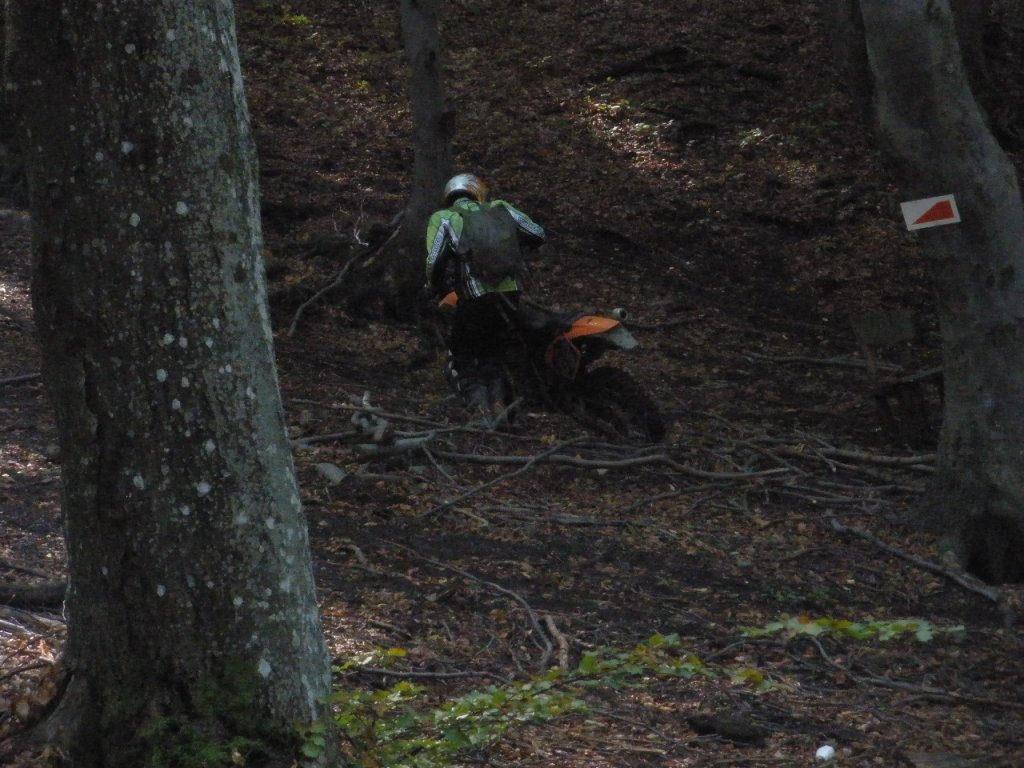 Натиснете снимката за да я уголемите

Име:PA020019.jpg
Прегледи:1
Размер:152.8 КБ
ID:5213931