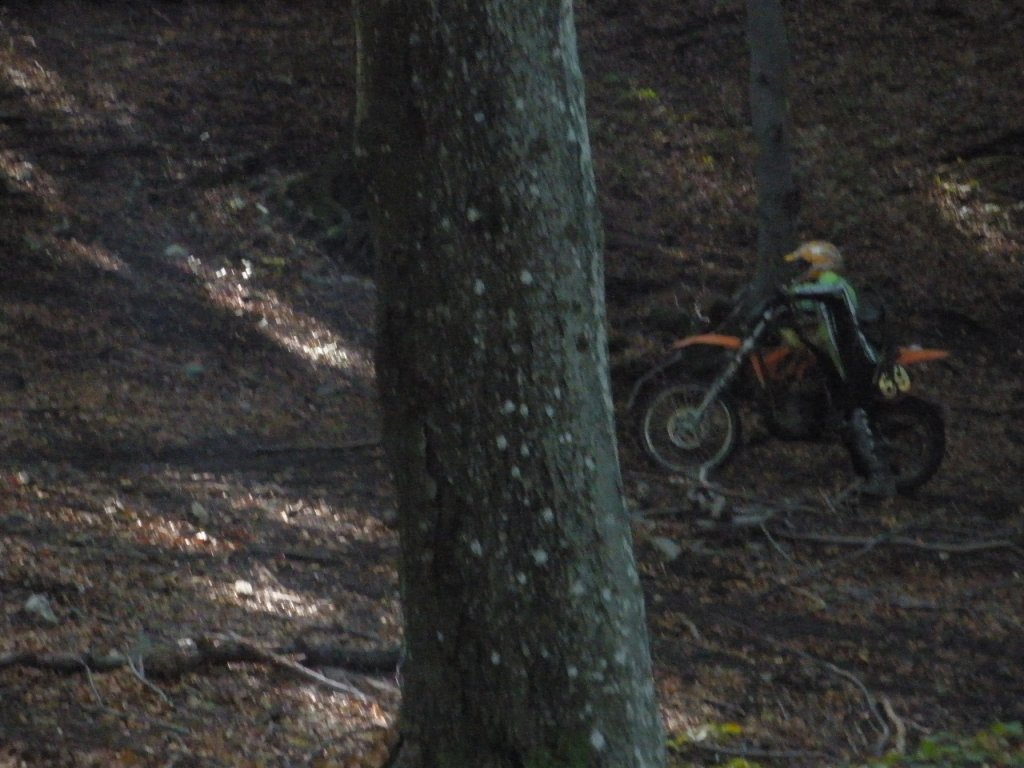 Натиснете снимката за да я уголемите

Име:PA020020.jpg
Прегледи:1
Размер:128.1 КБ
ID:5213932