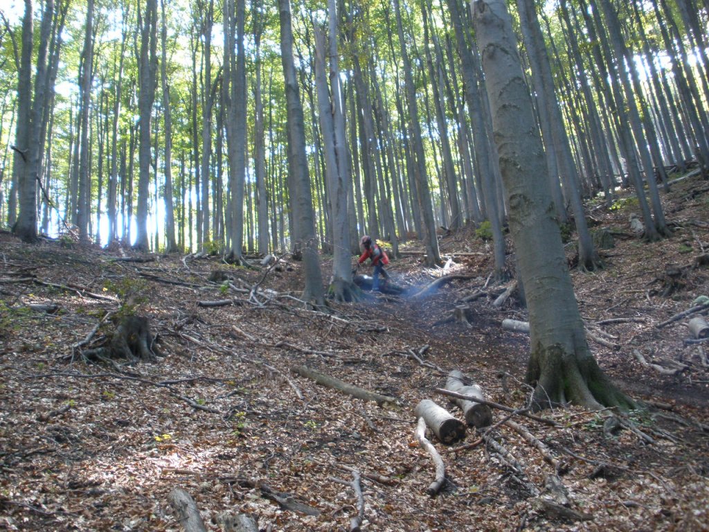 Натиснете снимката за да я уголемите

Име:PA020032.jpg
Прегледи:1
Размер:274.5 КБ
ID:5213936