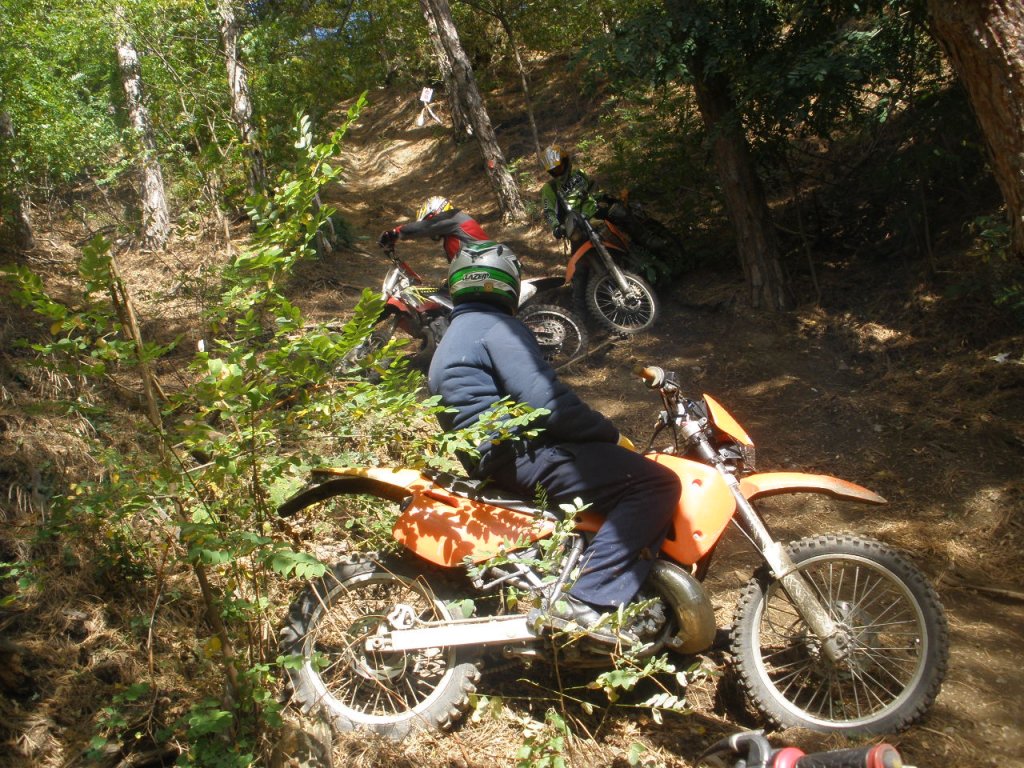 Натиснете снимката за да я уголемите

Име:PA020049.jpg
Прегледи:1
Размер:259.8 КБ
ID:5213939