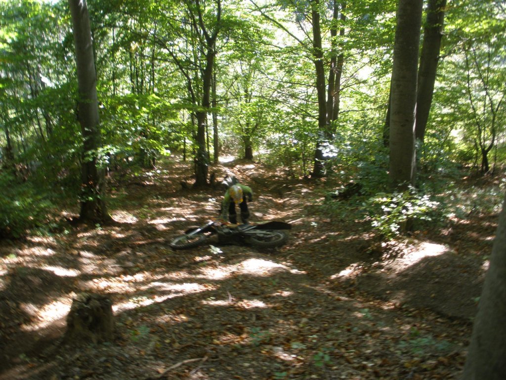 Натиснете снимката за да я уголемите

Име:PA020050.jpg
Прегледи:1
Размер:241.1 КБ
ID:5213940