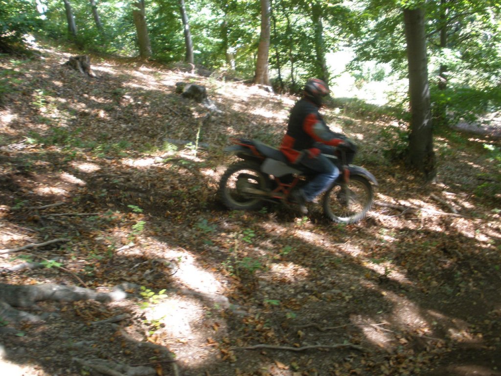 Натиснете снимката за да я уголемите

Име:PA020057.jpg
Прегледи:1
Размер:214.8 КБ
ID:5213942