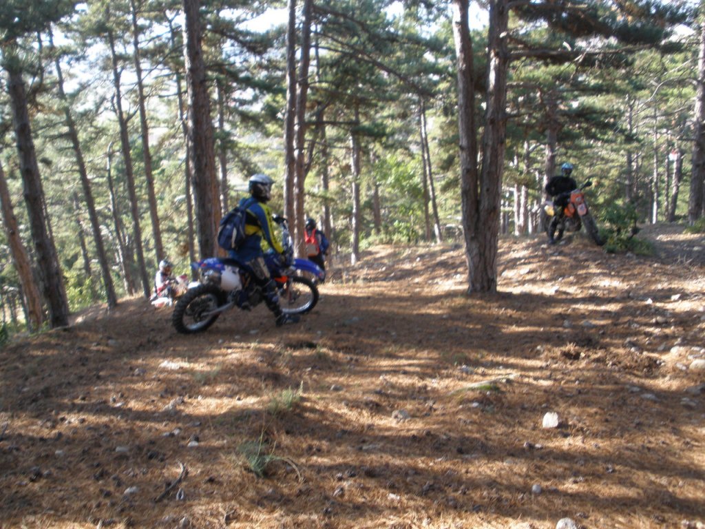 Натиснете снимката за да я уголемите

Име:PA100003.jpg
Прегледи:2
Размер:212.6 КБ
ID:5217455