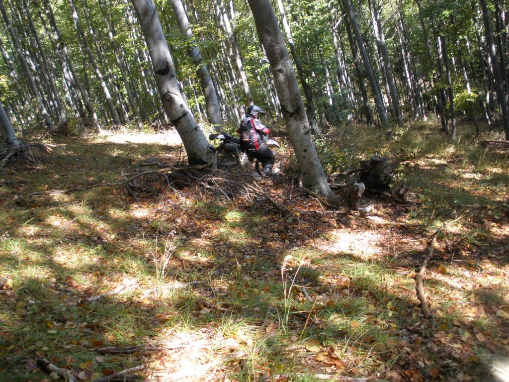 Натиснете снимката за да я уголемите

Име:PA100028.jpg
Прегледи:1
Размер:295.9 КБ
ID:5217422