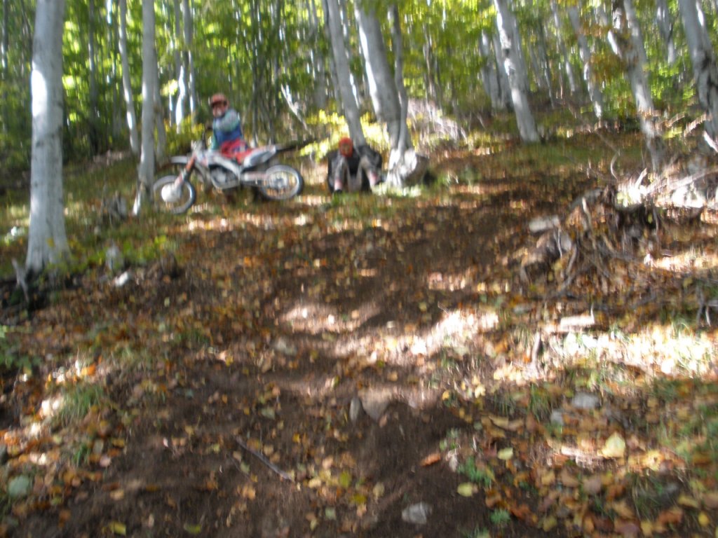 Натиснете снимката за да я уголемите

Име:PA100027.jpg
Прегледи:1
Размер:171.1 КБ
ID:5217425