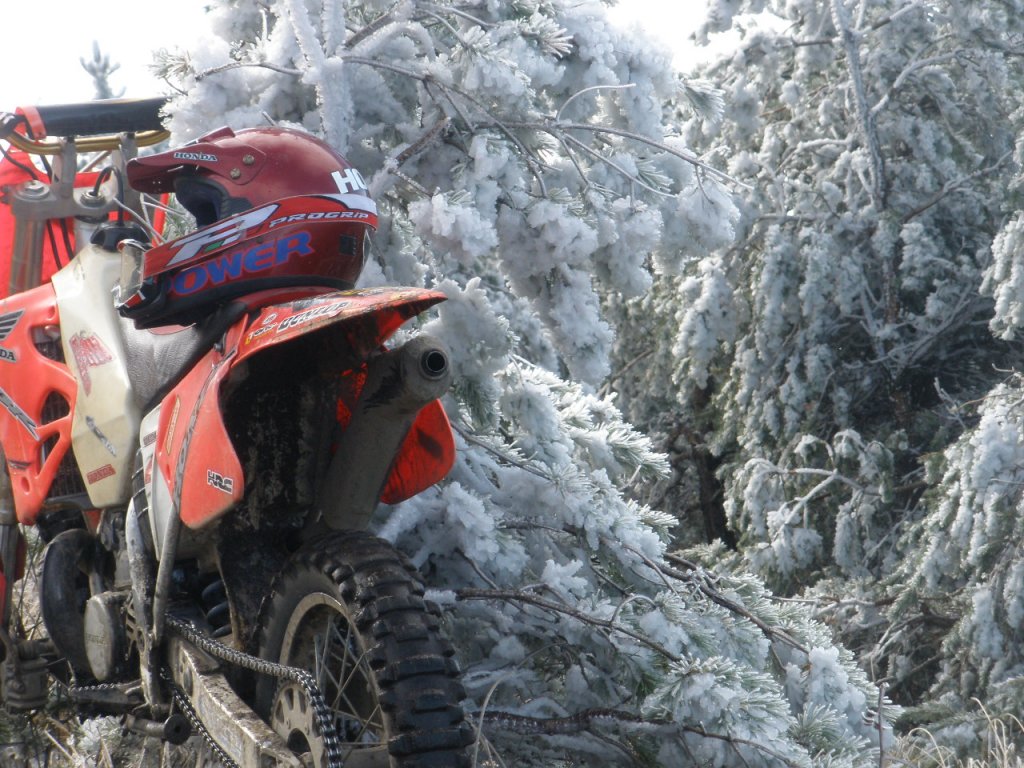 Натиснете снимката за да я уголемите

Име:PA100015.jpg
Прегледи:1
Размер:193.7 КБ
ID:5217442