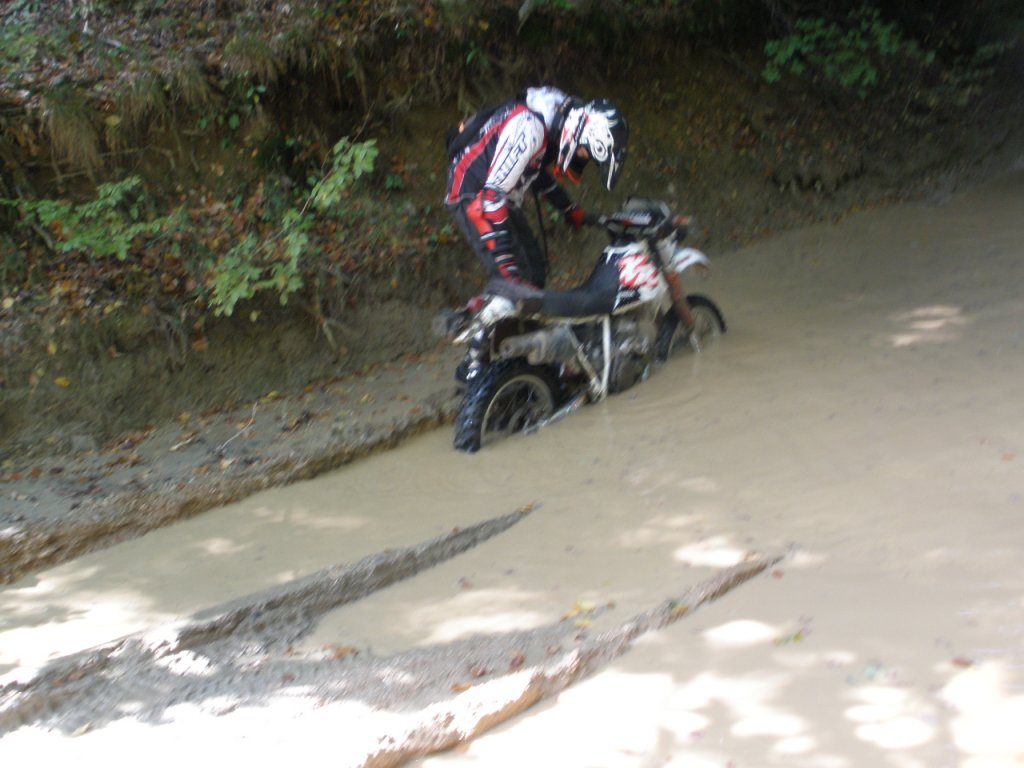 Натиснете снимката за да я уголемите

Име:PA100038.jpg
Прегледи:2
Размер:110.1 КБ
ID:5217448
