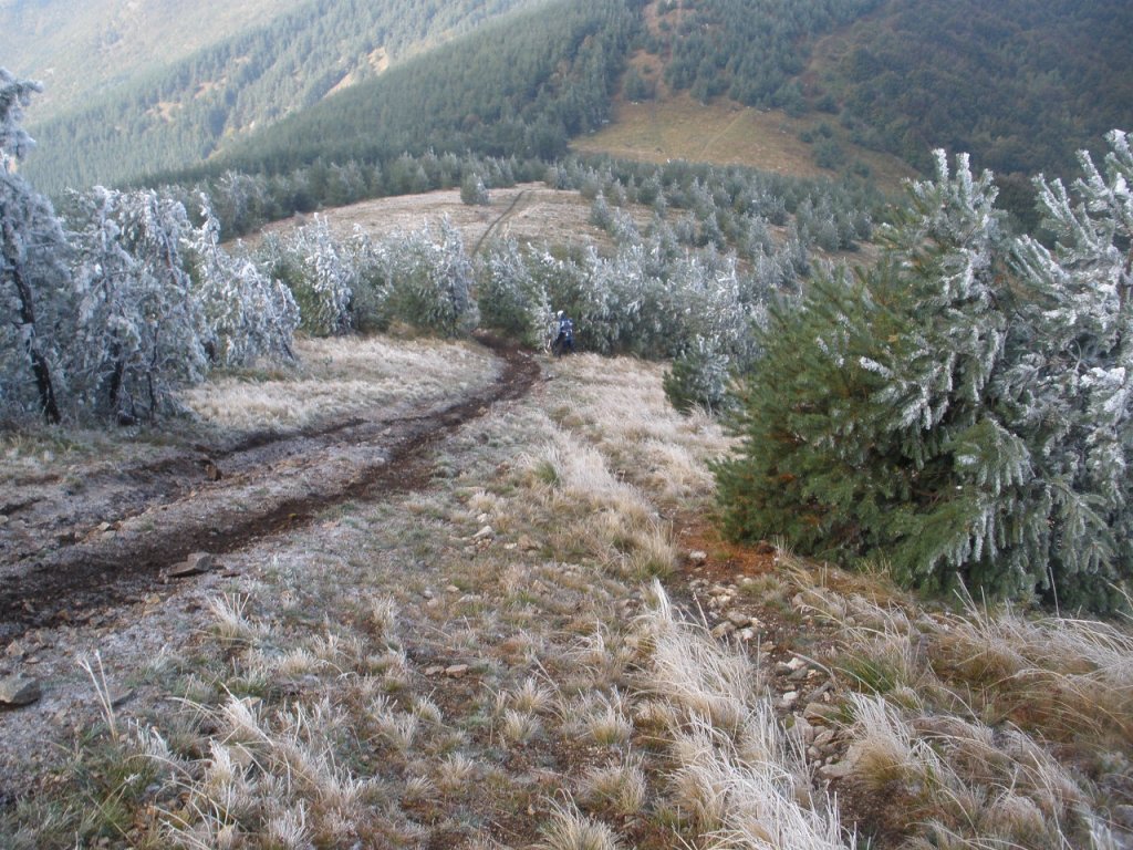 Натиснете снимката за да я уголемите

Име:PA100013.jpg
Прегледи:1
Размер:230.3 КБ
ID:5217450