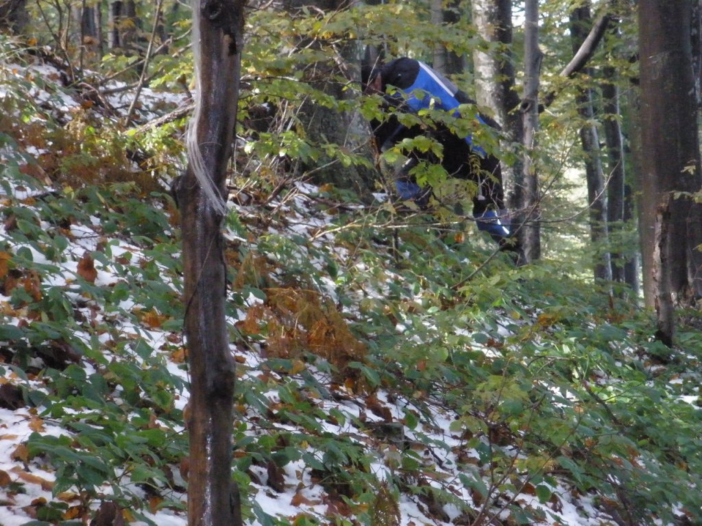 Натиснете снимката за да я уголемите

Име:PA100044.jpg
Прегледи:1
Размер:223.3 КБ
ID:5217464