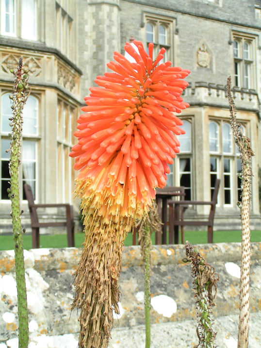 Натиснете снимката за да я уголемите

Име:PICT009o.JPG
Прегледи:1
Размер:124.8 КБ
ID:5217511