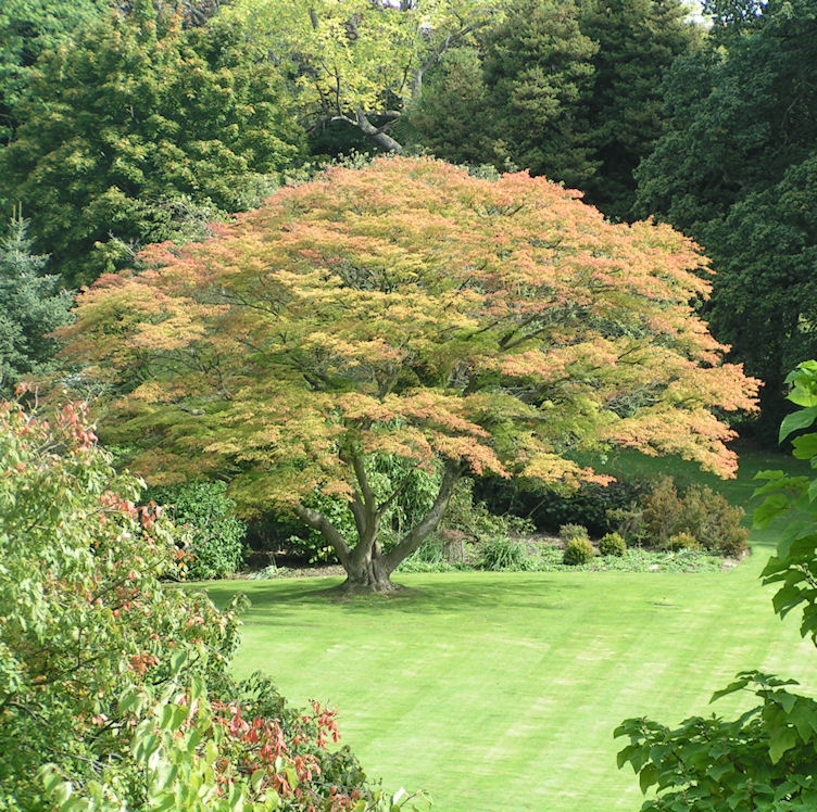 Натиснете снимката за да я уголемите

Име:PICT009g.JPG
Прегледи:1
Размер:234.7 КБ
ID:5217508