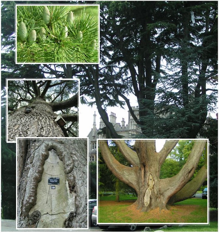 Натиснете снимката за да я уголемите

Име:PICT0053.jpg
Прегледи:1
Размер:189.2 КБ
ID:5217527