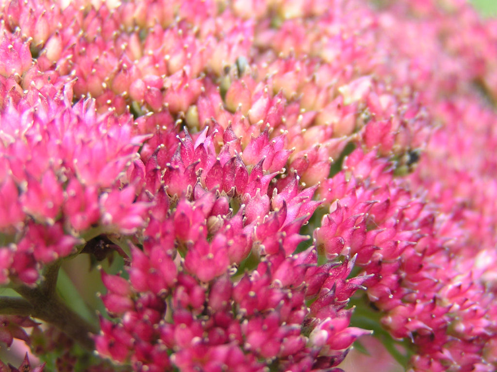 Натиснете снимката за да я уголемите

Име:PICT009n.JPG
Прегледи:1
Размер:186.2 КБ
ID:5217514