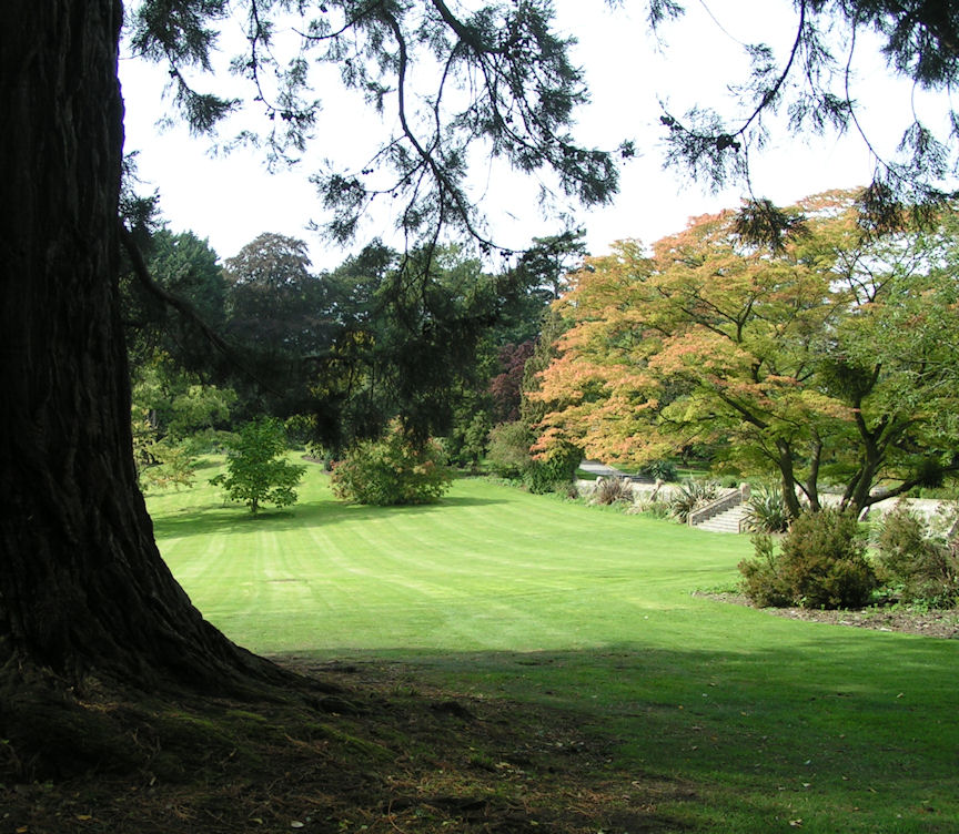 Натиснете снимката за да я уголемите

Име:PICT009f.JPG
Прегледи:1
Размер:203.8 КБ
ID:5217510