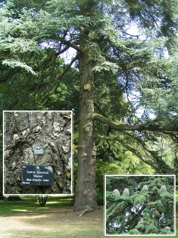 Натиснете снимката за да я уголемите

Име:PICT0051.jpg
Прегледи:1
Размер:184.3 КБ
ID:5217520