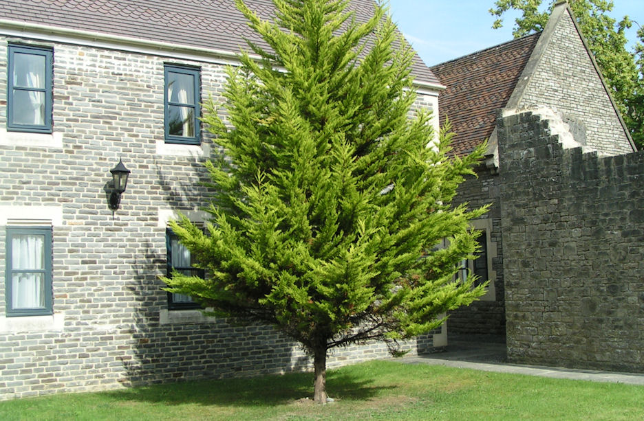 Натиснете снимката за да я уголемите

Име:PICT009b.JPG
Прегледи:1
Размер:202.6 КБ
ID:5217497