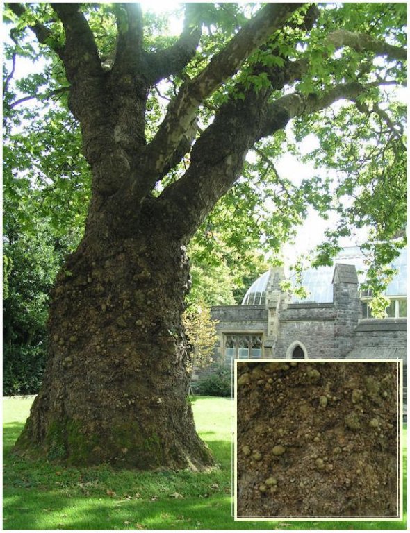 Натиснете снимката за да я уголемите

Име:PICT0048.jpg
Прегледи:1
Размер:149.8 КБ
ID:5217518