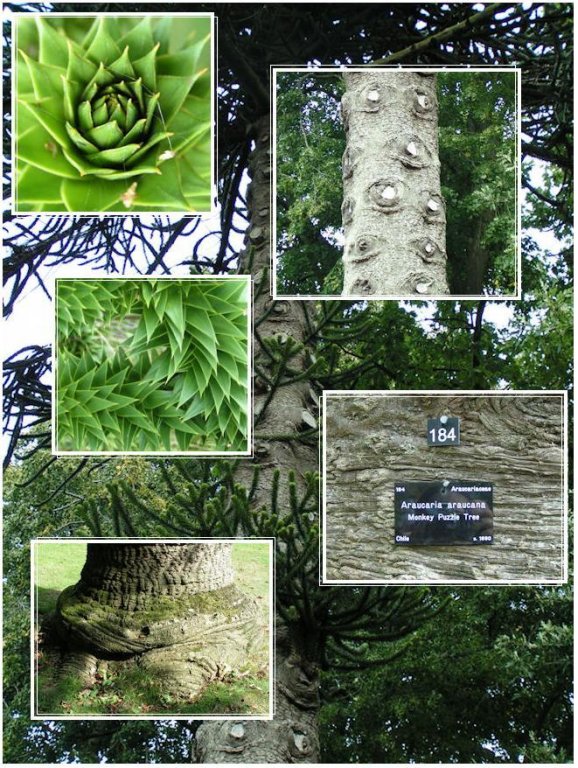 Натиснете снимката за да я уголемите

Име:PICT0070.jpg
Прегледи:1
Размер:162.4 КБ
ID:5217517