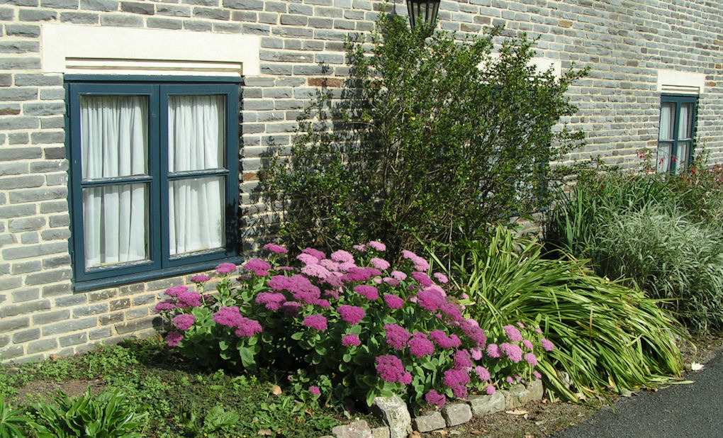 Натиснете снимката за да я уголемите

Име:PICT009a.JPG
Прегледи:1
Размер:255.4 КБ
ID:5217495