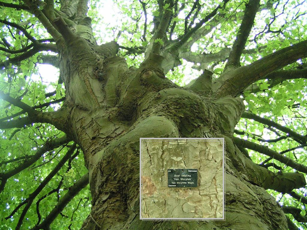 Натиснете снимката за да я уголемите

Име:PICT0112.JPG
Прегледи:1
Размер:213.6 КБ
ID:5217521