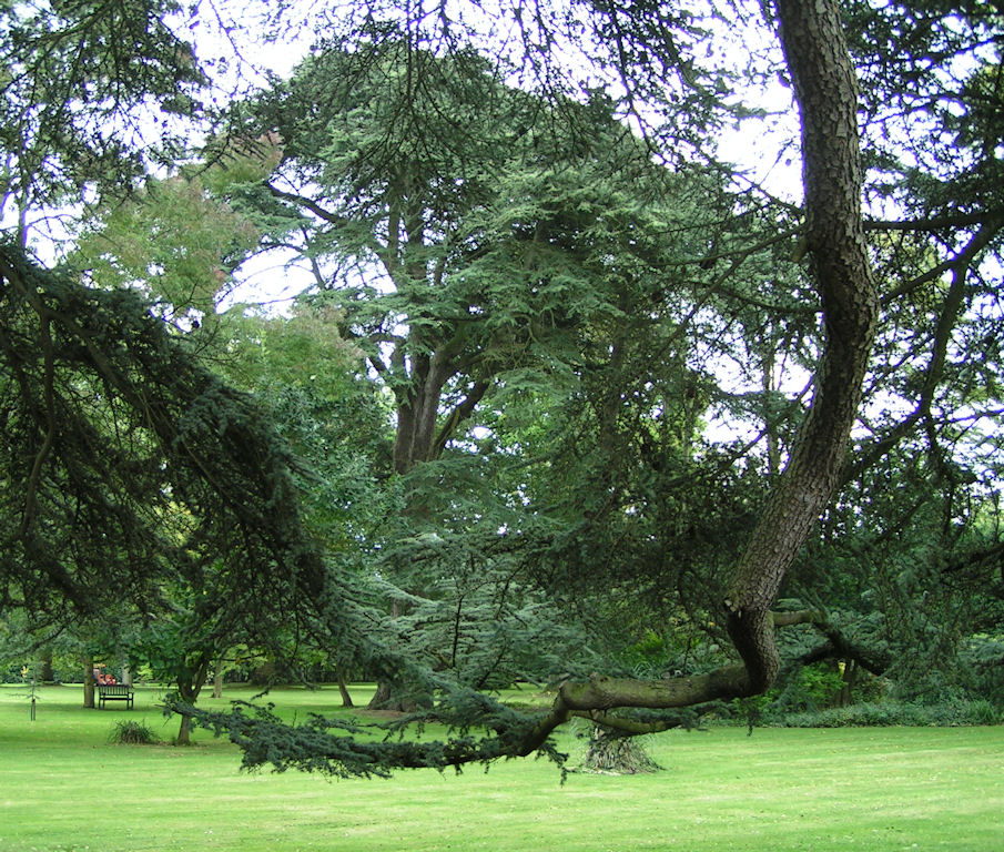 Натиснете снимката за да я уголемите

Име:PICT0105.JPG
Прегледи:1
Размер:297.4 КБ
ID:5217516