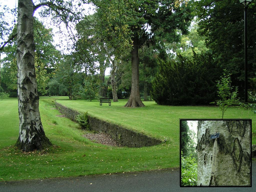 Натиснете снимката за да я уголемите

Име:PICT0107.JPG
Прегледи:1
Размер:214.9 КБ
ID:5217525