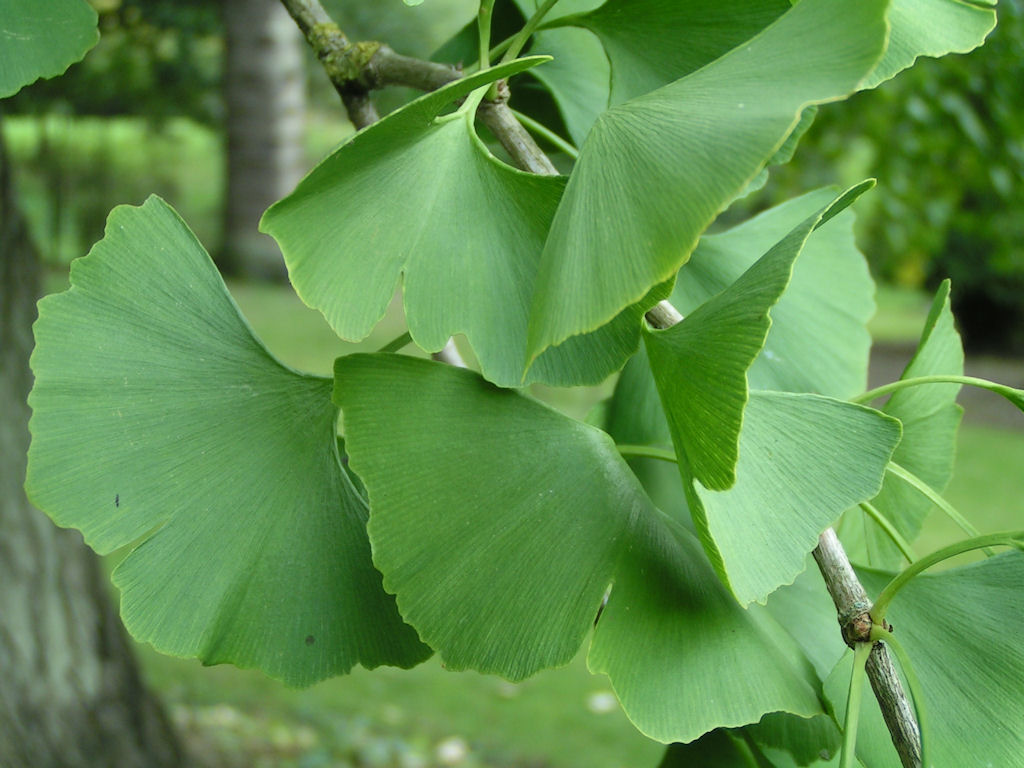 Натиснете снимката за да я уголемите

Име:PICT0086.JPG
Прегледи:1
Размер:131.1 КБ
ID:5217515