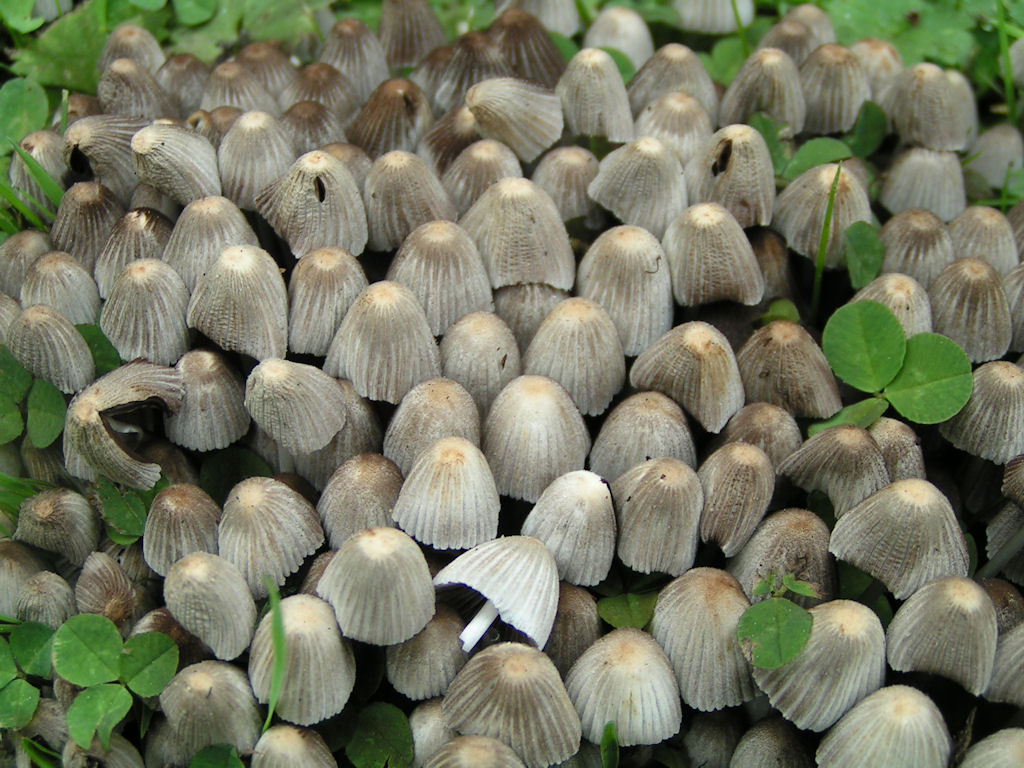 Натиснете снимката за да я уголемите

Име:PICT0109.JPG
Прегледи:1
Размер:194.5 КБ
ID:5217524