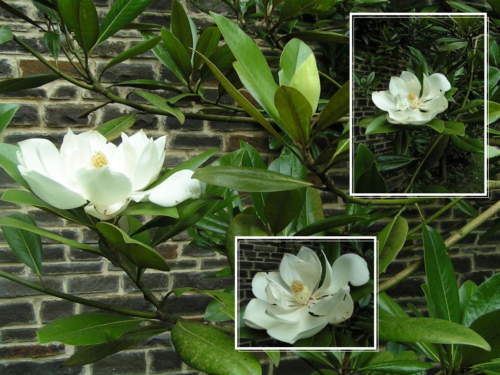 Натиснете снимката за да я уголемите

Име:PICT0116.JPG
Прегледи:1
Размер:164.4 КБ
ID:5217530