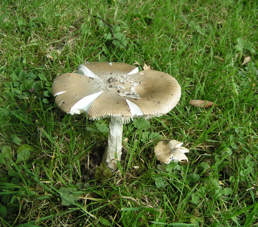 Натиснете снимката за да я уголемите

Име:PICT0118.JPG
Прегледи:1
Размер:263.8 КБ
ID:5217532