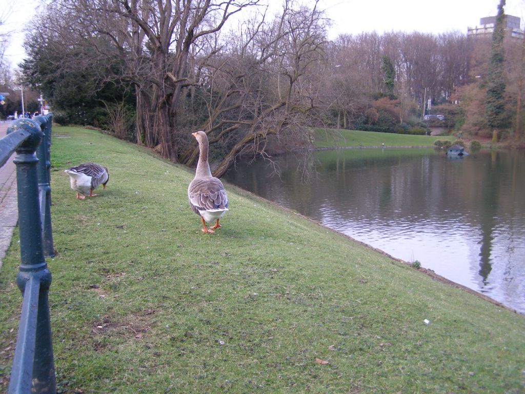 Натиснете снимката за да я уголемите

Име:P3294932.JPG
Прегледи:1
Размер:192.5 КБ
ID:5217581