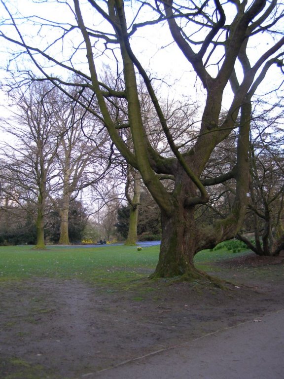 Натиснете снимката за да я уголемите

Име:P3294947.jpg
Прегледи:1
Размер:123.5 КБ
ID:5217582