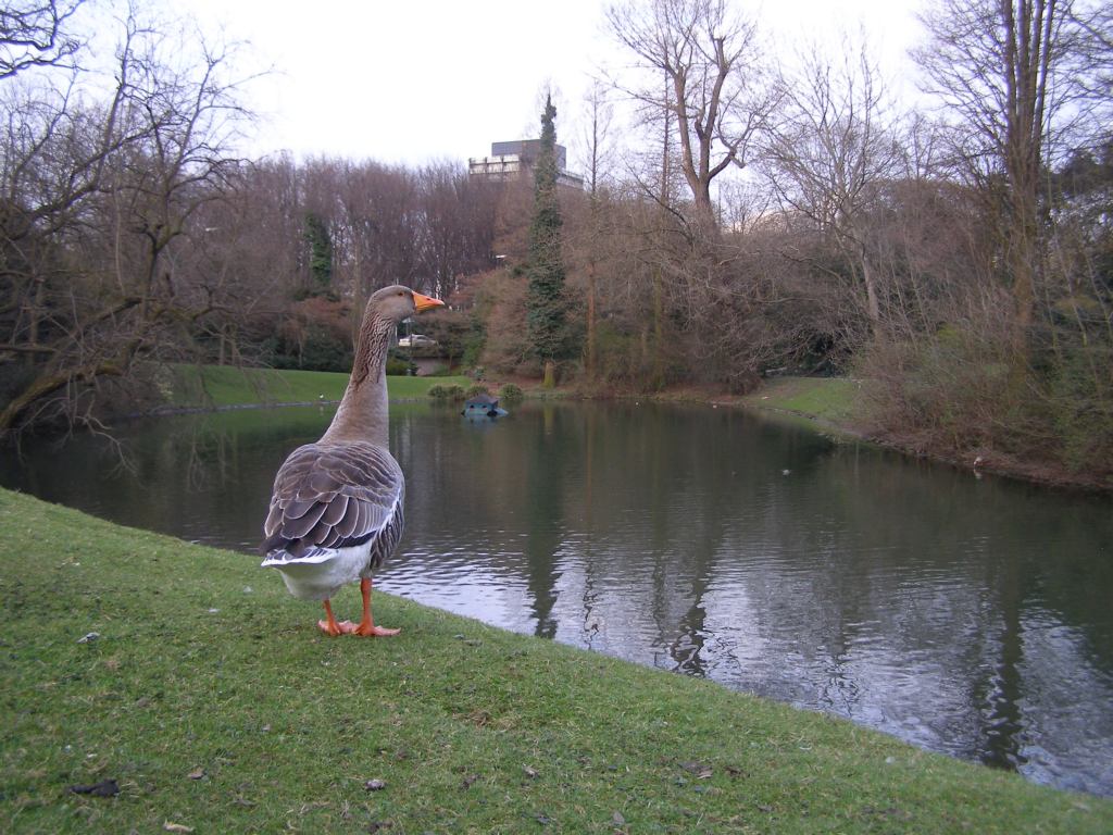Натиснете снимката за да я уголемите

Име:P3294933.JPG
Прегледи:1
Размер:164.3 КБ
ID:5217584