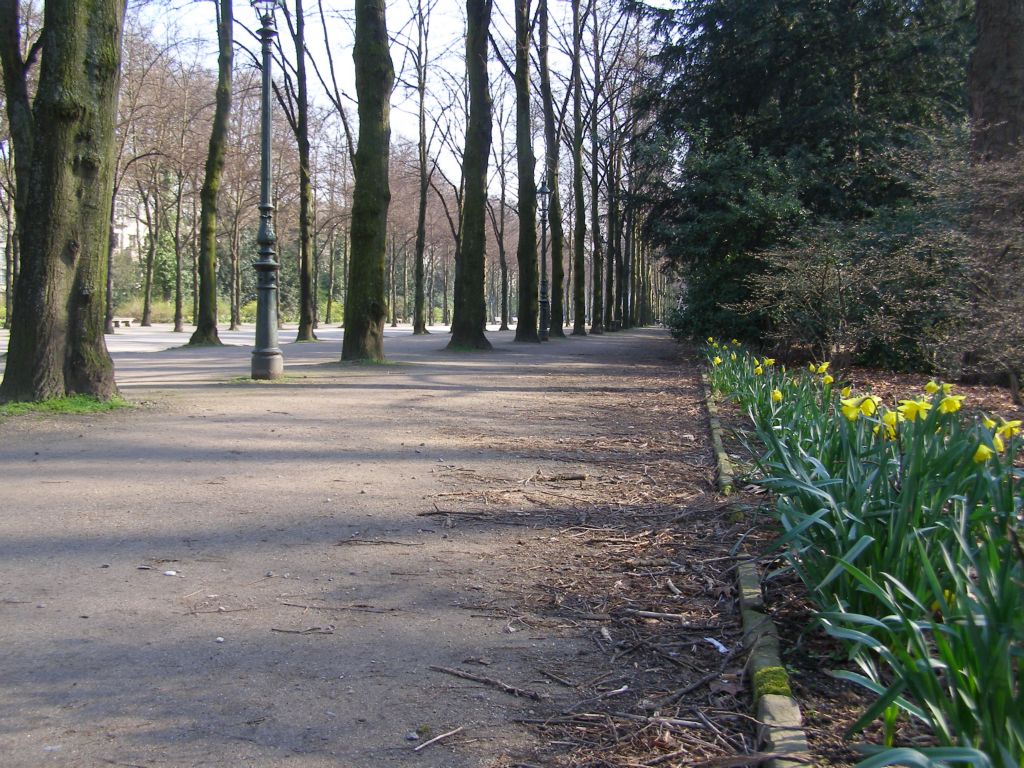 Натиснете снимката за да я уголемите

Име:P3315048.JPG
Прегледи:1
Размер:224.7 КБ
ID:5217850