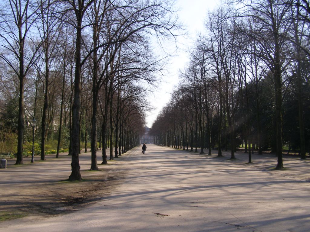 Натиснете снимката за да я уголемите

Име:P3315052.JPG
Прегледи:1
Размер:213.0 КБ
ID:5217854