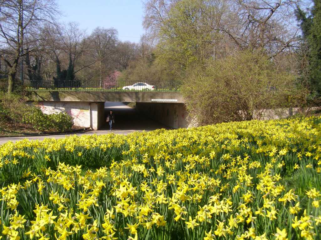 Натиснете снимката за да я уголемите

Име:P3315063.JPG
Прегледи:1
Размер:169.6 КБ
ID:5217856
