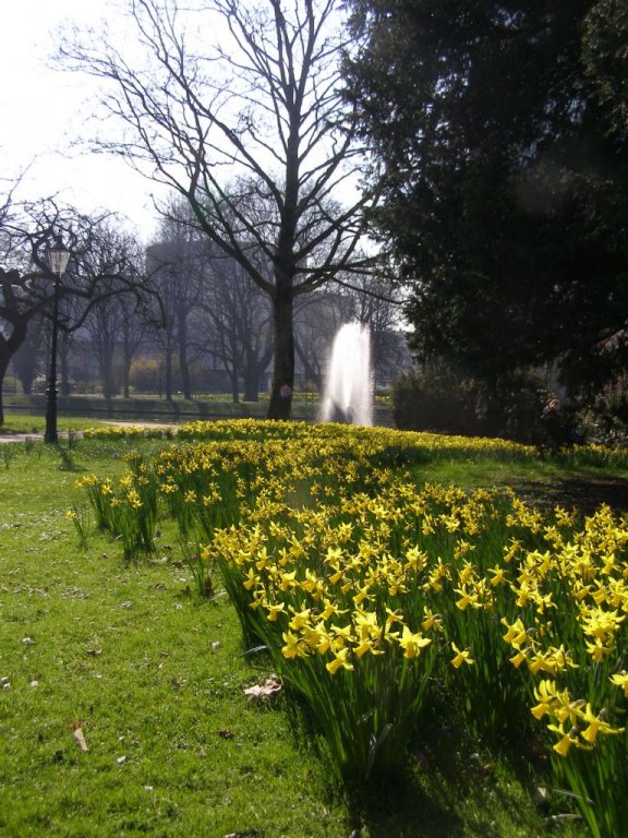 Натиснете снимката за да я уголемите

Име:P3315069.jpg
Прегледи:1
Размер:138.3 КБ
ID:5217858