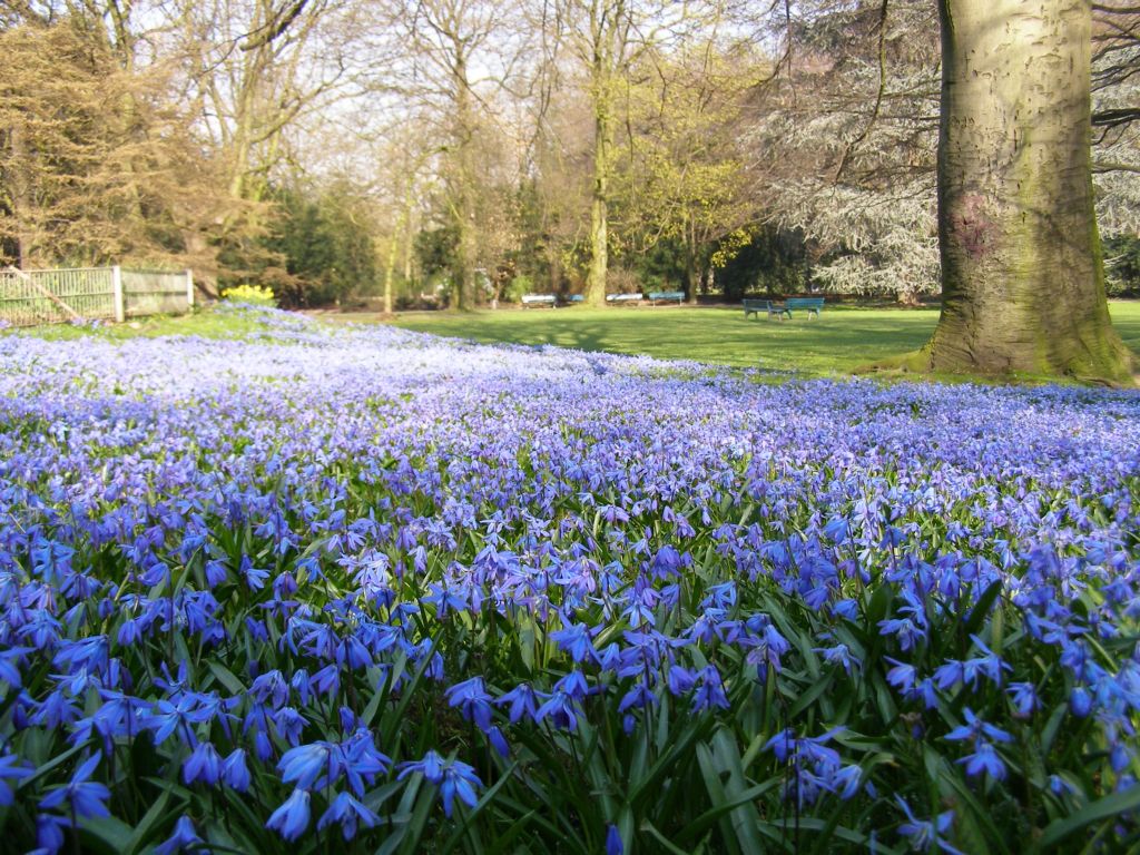 Натиснете снимката за да я уголемите

Име:P3315092.JPG
Прегледи:1
Размер:238.1 КБ
ID:5217865
