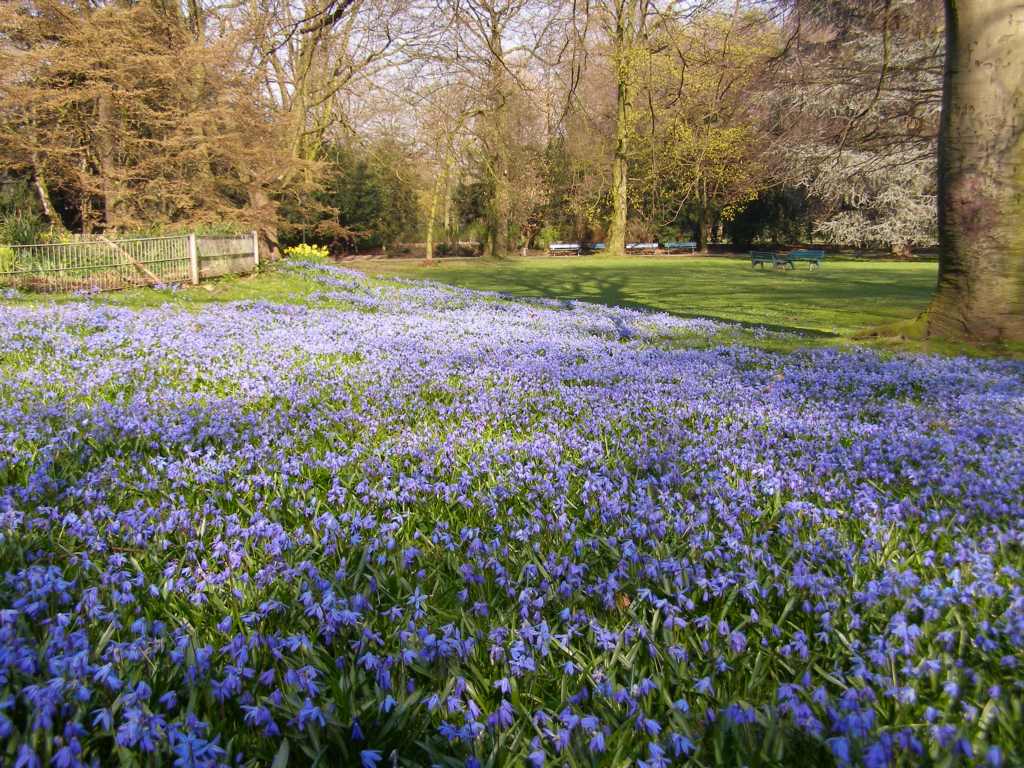 Натиснете снимката за да я уголемите

Име:P3315093.JPG
Прегледи:1
Размер:166.0 КБ
ID:5217866