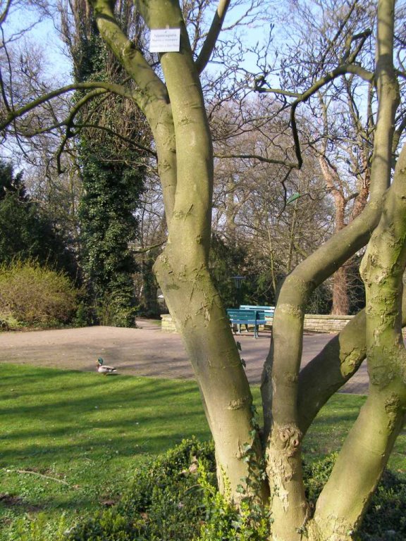 Натиснете снимката за да я уголемите

Име:P3315096.jpg
Прегледи:1
Размер:150.3 КБ
ID:5217869