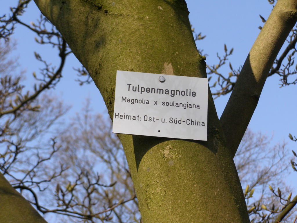 Натиснете снимката за да я уголемите

Име:P3315097.JPG
Прегледи:1
Размер:201.6 КБ
ID:5217870
