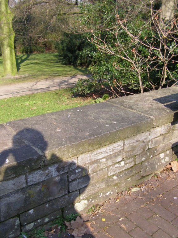 Натиснете снимката за да я уголемите

Име:P3315103.jpg
Прегледи:1
Размер:127.1 КБ
ID:5217872