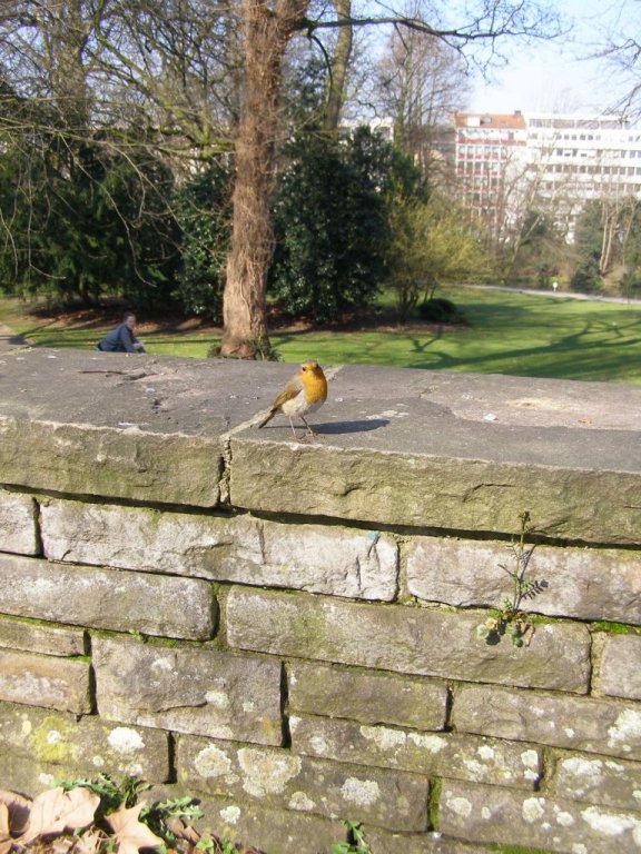 Натиснете снимката за да я уголемите

Име:P3315104.jpg
Прегледи:1
Размер:134.2 КБ
ID:5217881