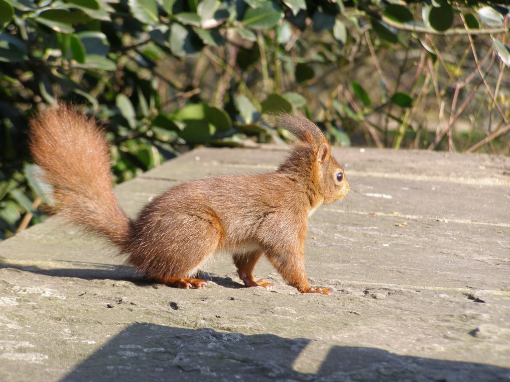 Натиснете снимката за да я уголемите

Име:P3315116.JPG
Прегледи:1
Размер:196.2 КБ
ID:5217883