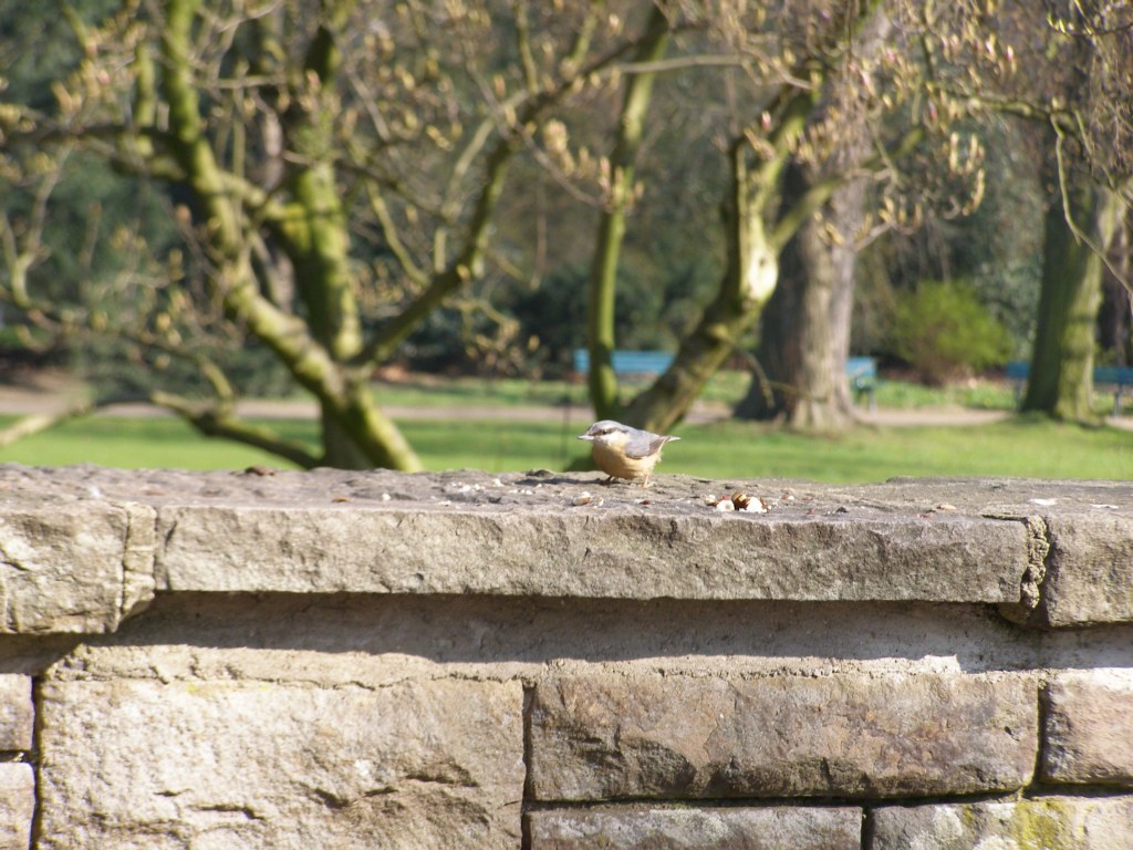 Натиснете снимката за да я уголемите

Име:P3315123.JPG
Прегледи:1
Размер:209.0 КБ
ID:5217886