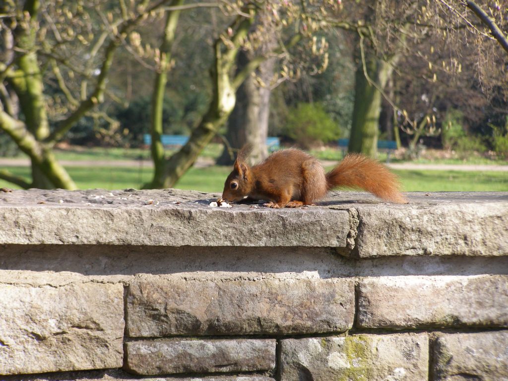 Натиснете снимката за да я уголемите

Име:P3315125.JPG
Прегледи:1
Размер:189.3 КБ
ID:5217887