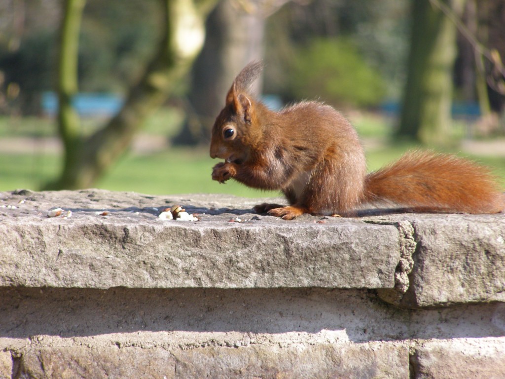 Натиснете снимката за да я уголемите

Име:P3315126.JPG
Прегледи:1
Размер:206.8 КБ
ID:5217891