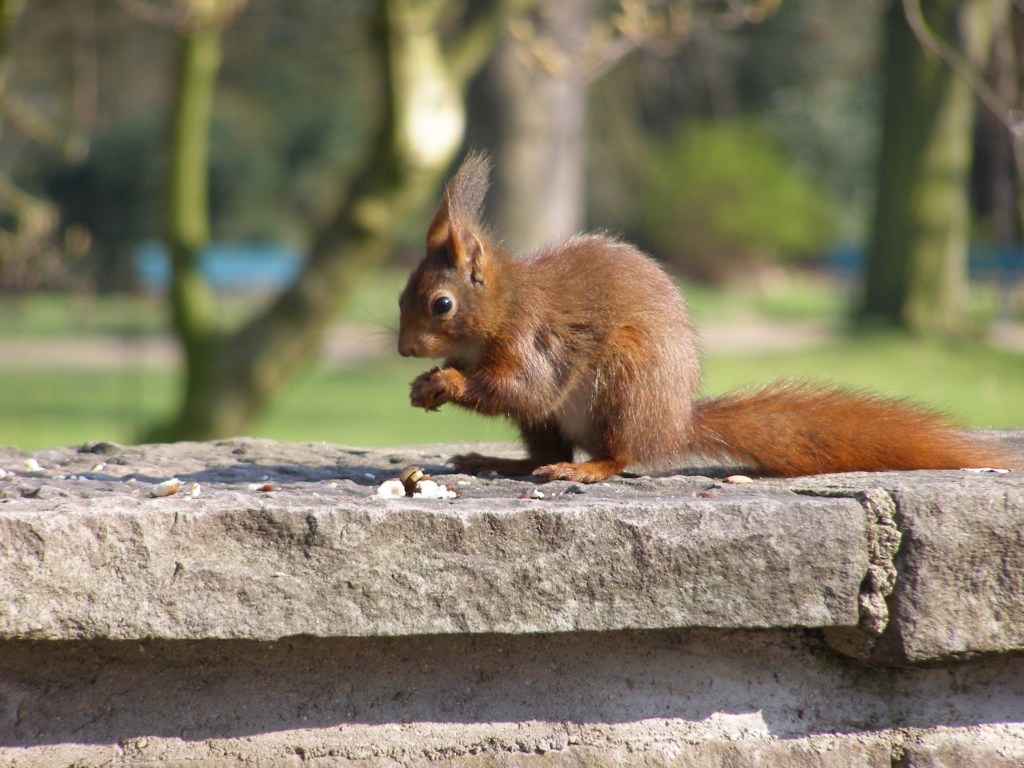 Натиснете снимката за да я уголемите

Име:P3315130.JPG
Прегледи:1
Размер:190.4 КБ
ID:5217896