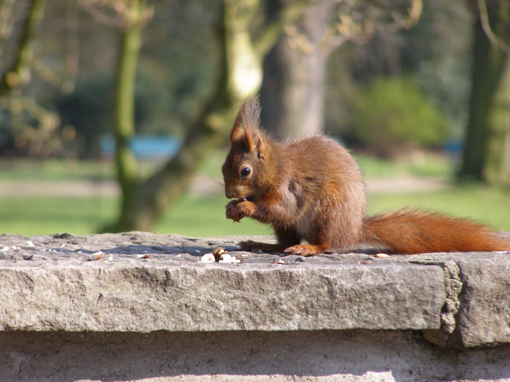 Натиснете снимката за да я уголемите

Име:P3315131.JPG
Прегледи:1
Размер:205.8 КБ
ID:5217897